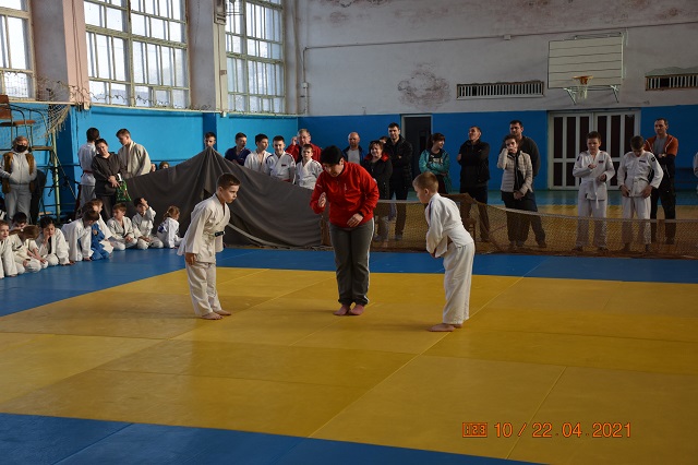 dzudo 6