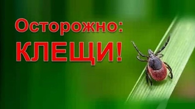 Осторожно клещи