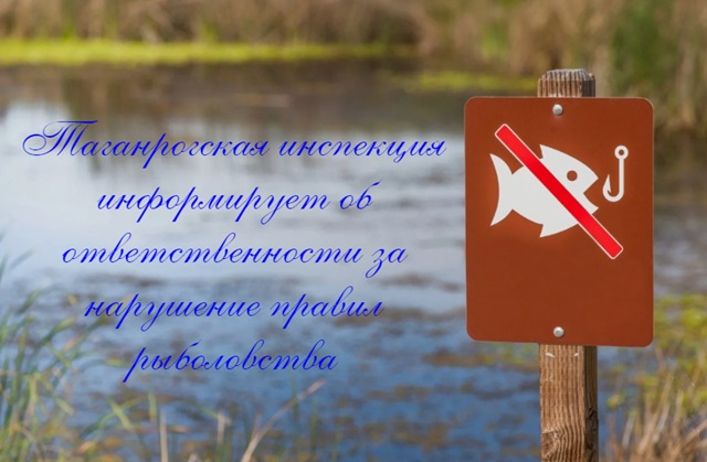 Таганрогская инспекция информирует об ответственности за нарушение правил рыболовства
