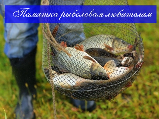 ПАМЯТКА РЫБОЛОВАМ ЛЮБИТЕЛЯМ
